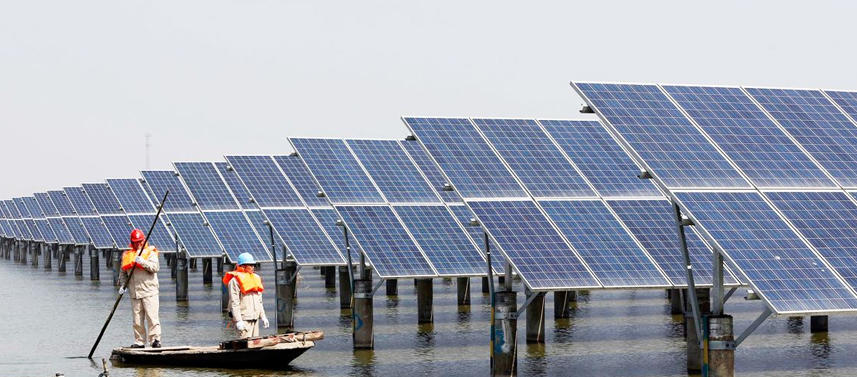 Fishing and light complementary photovoltaic 