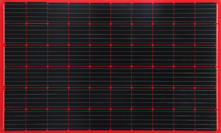 Double Glass Red Color Bipv Pv Solar Panel